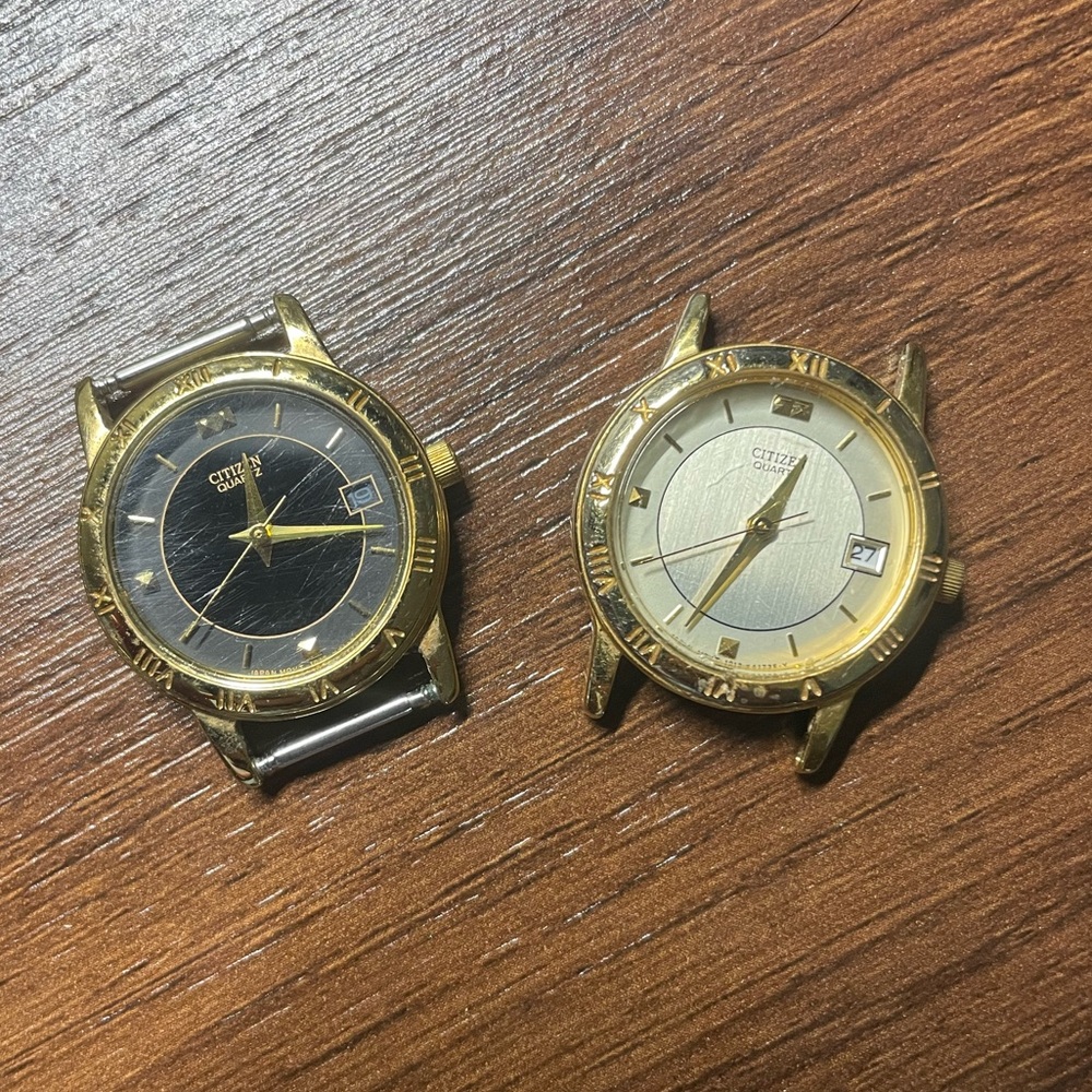 Citizen Watch Pair